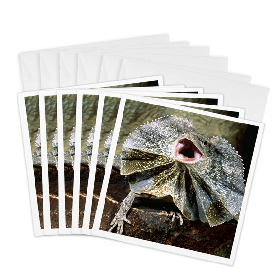 3drose, Frilled Lizard, Native to New Guinea - Na02 Dno0289 - David Northcott, 6 Greeting Cards with Envelopes