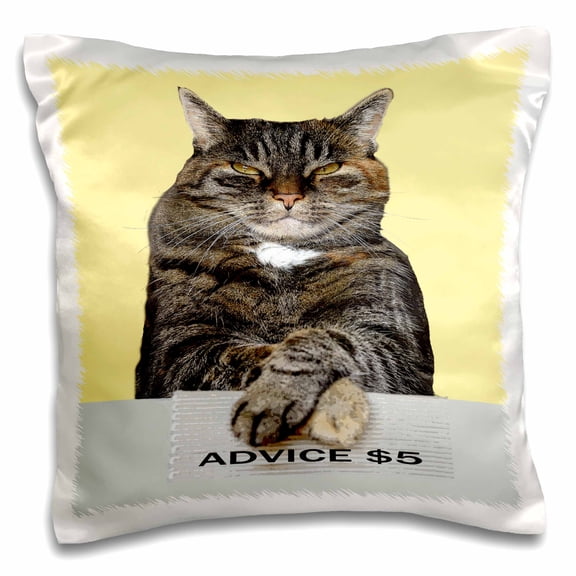 3drose, Funny Advice Cat Looking Aloft Grumpy Meme, 16x16 inch Pillow Case