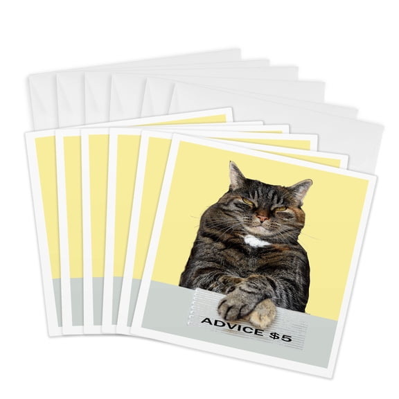 3drose, Funny Advice Cat Looking Aloft Grumpy Meme, 6 Greeting Cards with Envelopes