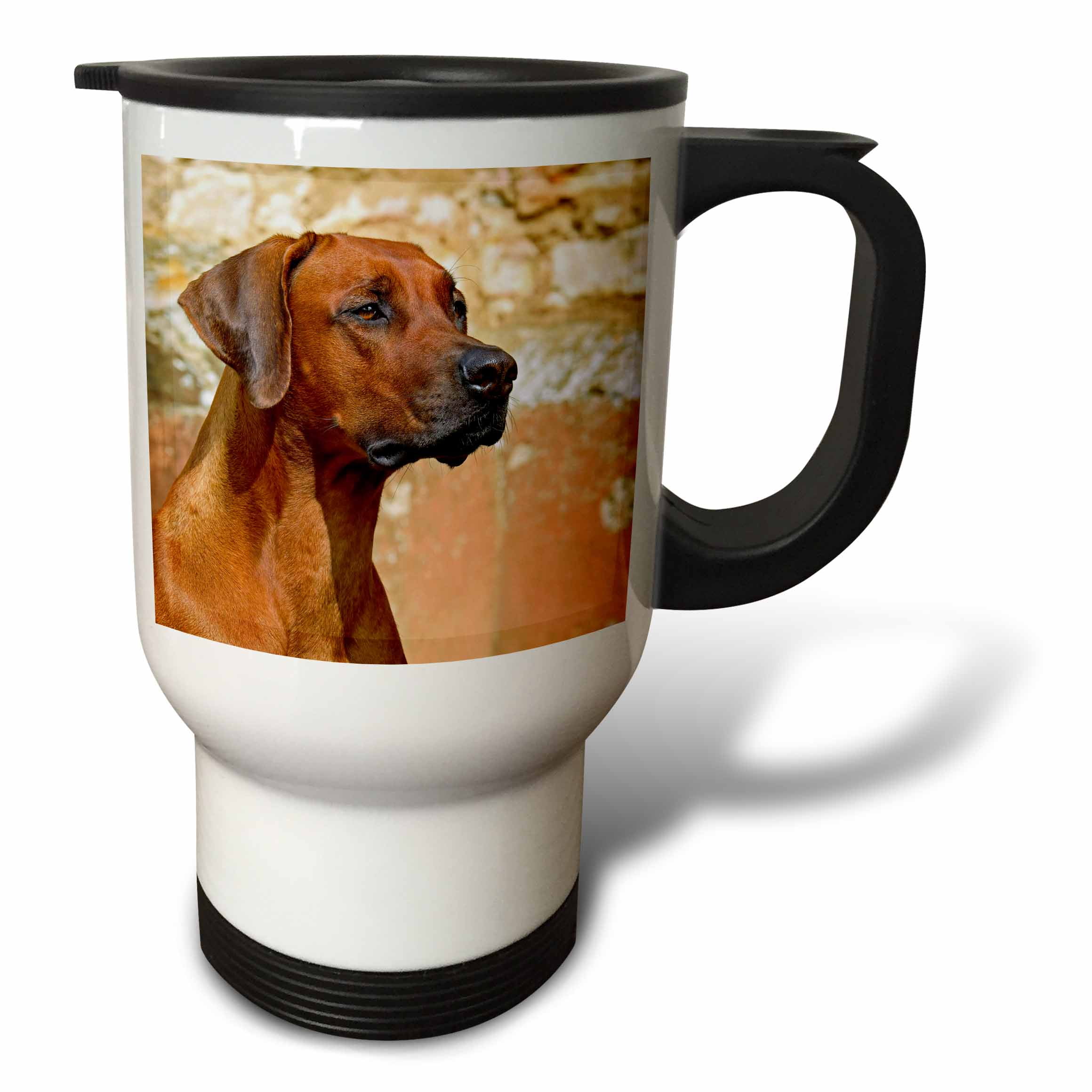 3drose, Funny Portrait of Rhodesian Ridgeback Dog, 14oz Stainless Steel ...
