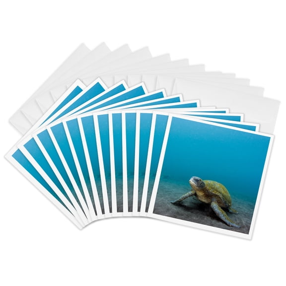 3drose, Galapagos Green Sea Turtle Underwater, Ecuador., 12 Greeting Cards with Envelopes