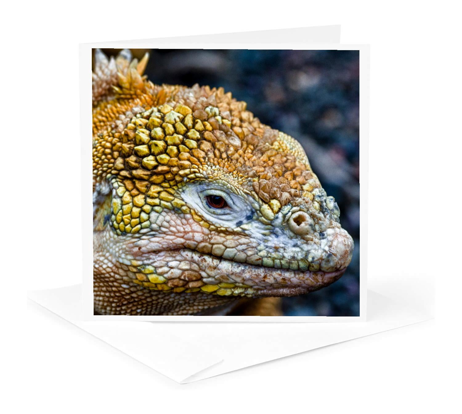 3drose, Galapagos Islands, Ecuador, Santa Cruz Island. Galapagos Land ...