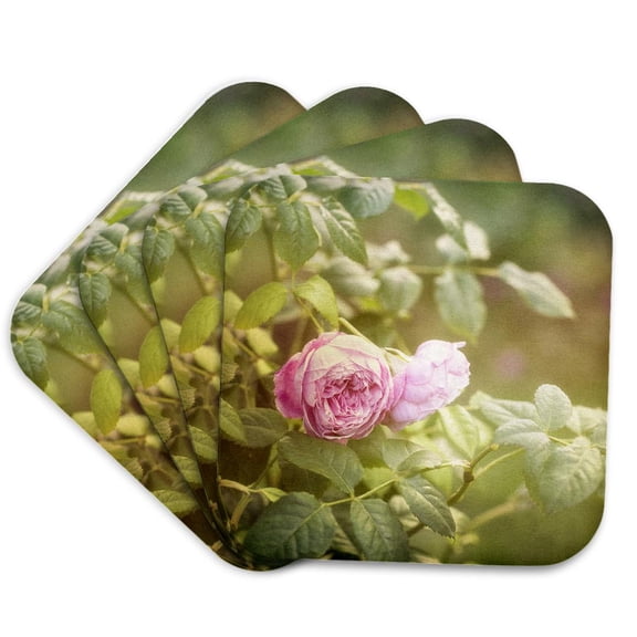 3drose, Garden Rose Photo, Set of 4 Coasters - Soft