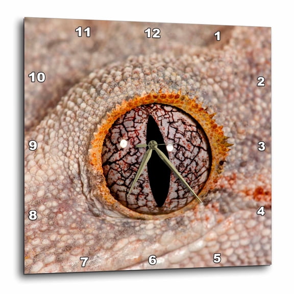 3drose, Gargoyle Gecko Lizard Native to New Caledonia - Na02 Dno0922 - David Northcott, 10x10 Wall Clock