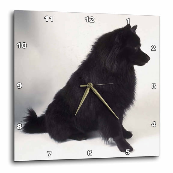 3drose, German Spitz, 13x13 Wall Clock