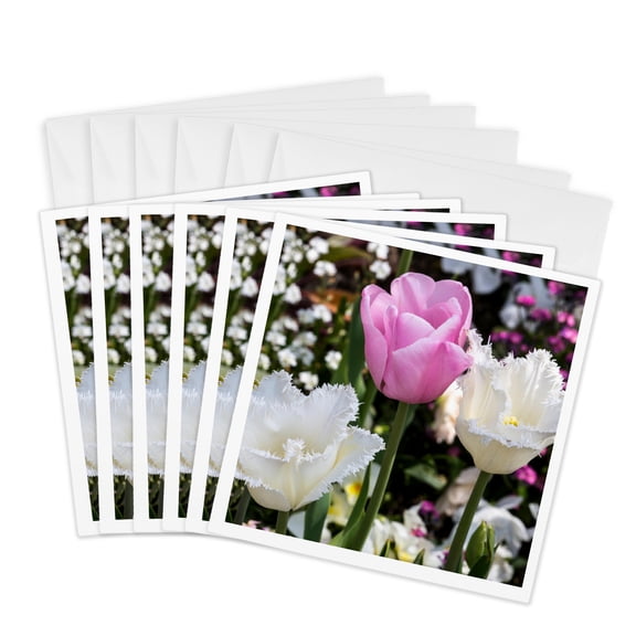 3drose, Germany, Freinsheim, Flowers, Two Whites and a Pink, 6 Greeting Cards with Envelopes