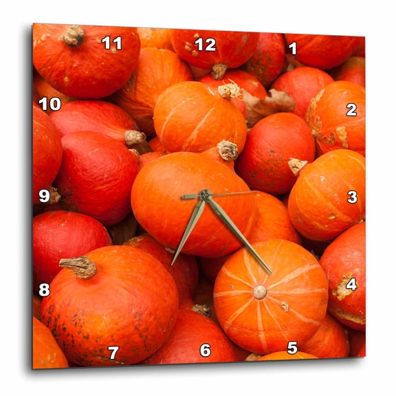 3drose, Germany, Ludwigsburg, Bluhendes Barock Gardens, Fall, Pumpkins, 13x13 Wall Clock