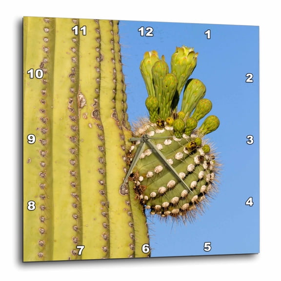 3drose, Giant Saguaro, Saguaro Np, Sonora Desert, Arizona, Tucson, Usa., 10x10 Wall Clock