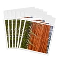 thumbnail image 1 of 3drose, Giant Sequoia Tree Close up in Winter, Sequoia Np, California, 6 Greeting Cards with Envelopes, 1 of 7