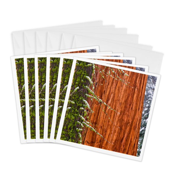 3drose, Giant Sequoia Tree Close up in Winter, Sequoia Np, California, 6 Greeting Cards with Envelopes