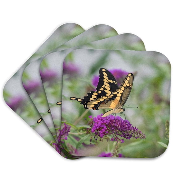 3drose, Giant Swallowtail Nectaring on Flowers, Marion County, Illinois, Set of 4 Coasters - Soft