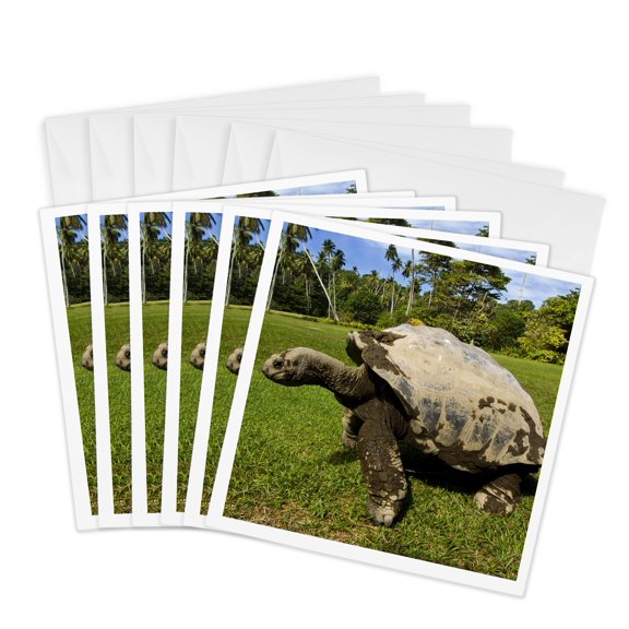 3drose, Giant Tortoise, Fregate Island, Seychelles-af39 Awr0009 - Alison Wright, 6 Greeting Cards with Envelopes