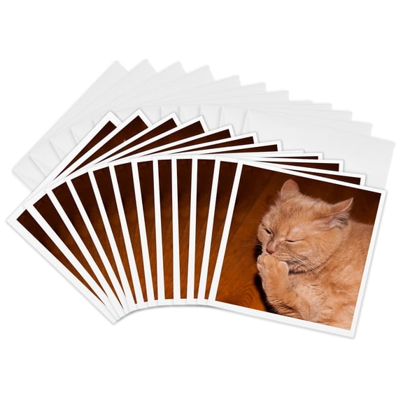3drose, Ginger Cat in a Philosophical Mood, 12 Greeting Cards with Envelopes