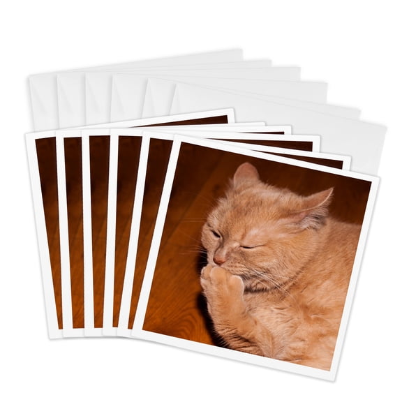 3drose, Ginger Cat in a Philosophical Mood, 6 Greeting Cards with Envelopes