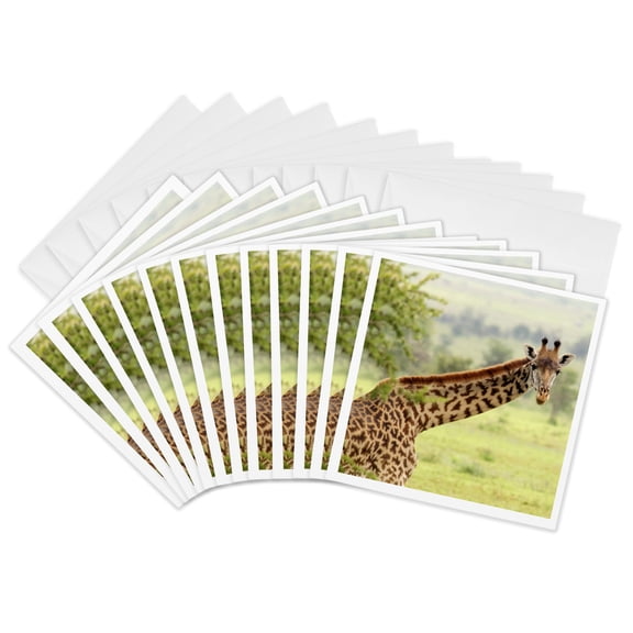 3drose, Giraffe Looking at Me, Taken in Tanzania, 12 Greeting Cards with Envelopes