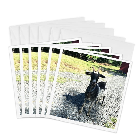 3drose, Goat Black, 6 Greeting Cards with Envelopes