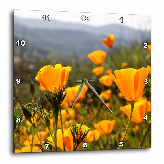3drose, Golden California Poppy Flowers, California, Usa - Us05 Tno0023 - Tom Norring, 15x15 Wall Clock