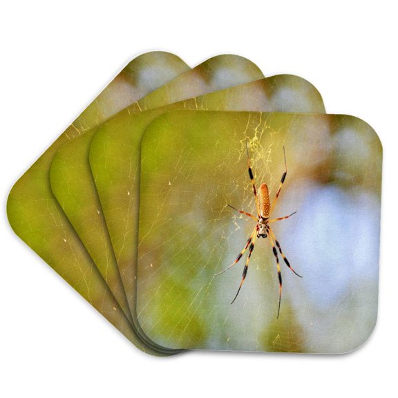 3drose, Golden Silk Orb Weaver Spider in Florida, Set of 4 Coasters - Soft
