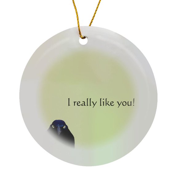 3drose, Grackle, I Really like You, Circle Porcelain Ornament