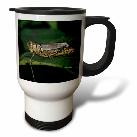 3drose, Grasshopper on a Leaf, 14oz Stainless Steel Travel Mug