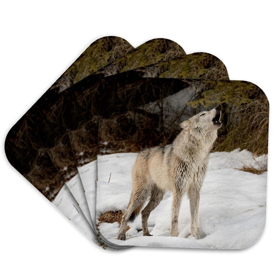 3drose, Gray Wolf Howling in Winter, Canis Lupus, Montana, Set of 4 Coasters - Soft