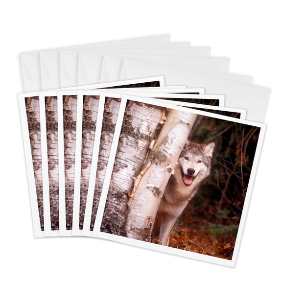 3drose, Gray Wolf in a Forest, 6 Greeting Cards with Envelopes