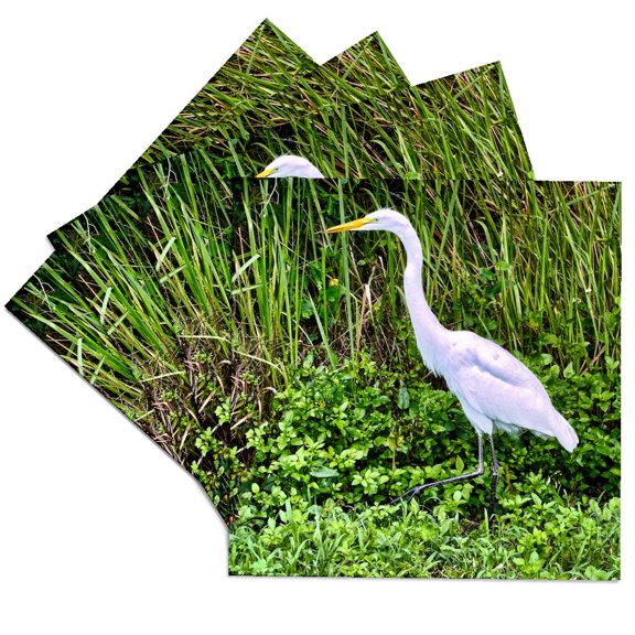 3drose, Great Egret Walking in Florida, Set of 4 Ceramic Tile Coasters