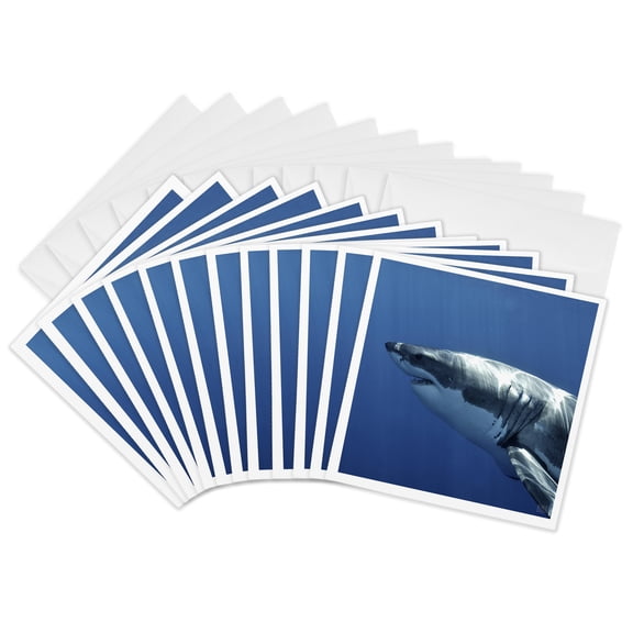 3drose, Great White Shark, 12 Greeting Cards with Envelopes