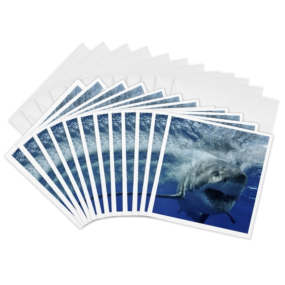 3drose, Great White Shark, 12 Greeting Cards with Envelopes