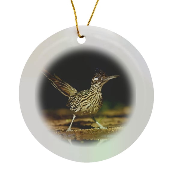 3drose, Greater Roadrunner Bird, Texas, Usa - Us44 Ldi0515 - Larry Ditto, Circle Porcelain Ornament