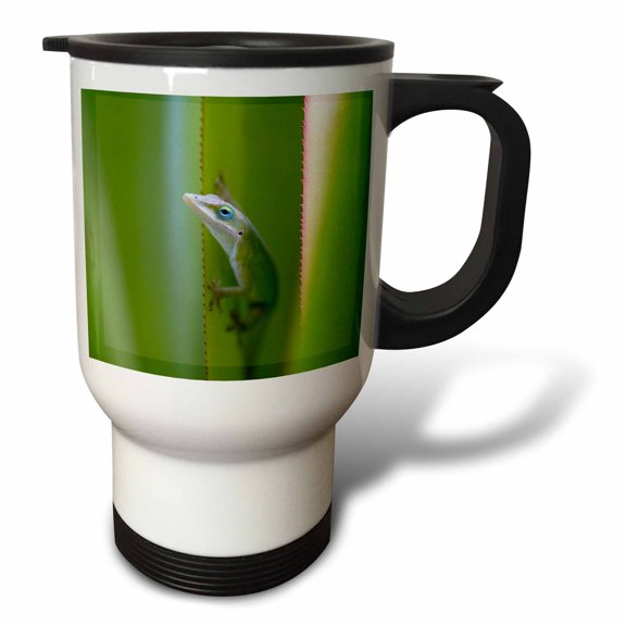 3drose, Green Anole, Arboreal Lizard, Kauai, Hawaii, Usa - Us12 Dfr0147 - David R. Frazier, 14oz Stainless Steel Travel Mug
