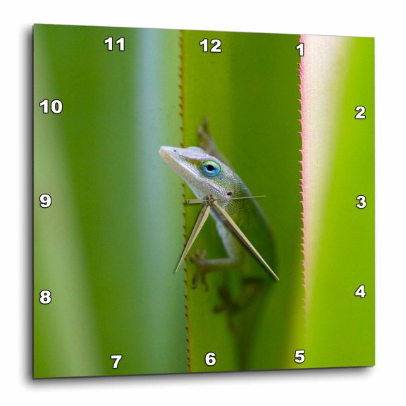 3drose, Green Anole, Arboreal Lizard, Kauai, Hawaii, Usa - Us12 Dfr0147 - David R. Frazier, 15x15 Wall Clock