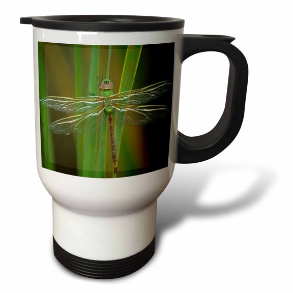 3drose, Green Darner Dragonfly Insect on Reeds - Na01 Bja0017 - Jaynes Gallery, 14oz Stainless Steel Travel Mug