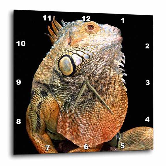 3drose, Green Iguana Lizard - Na02 Dno0290 - David Northcott, 10x10 Wall Clock