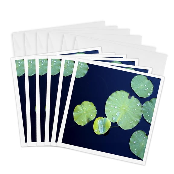 3drose, Green Lily Pads Float on Dark Blue Water, 6 Greeting Cards with Envelopes