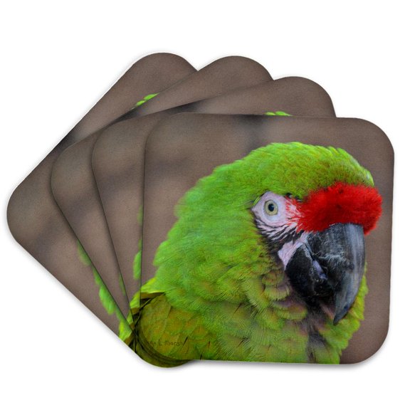 3drose, Green Parrot Head View C Bird, Set of 4 Coasters - Cork