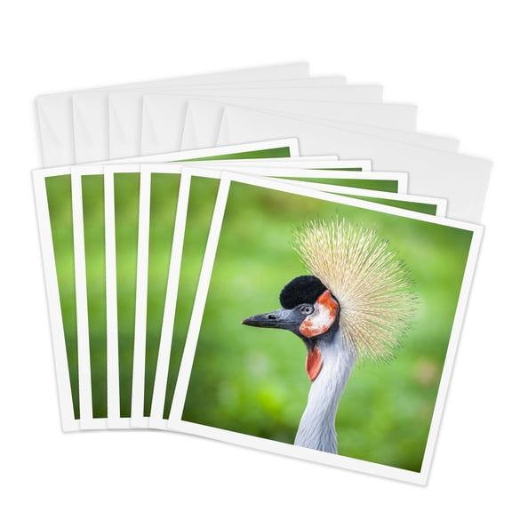 3drose, Grey Crowned Crane., 6 Greeting Cards with Envelopes