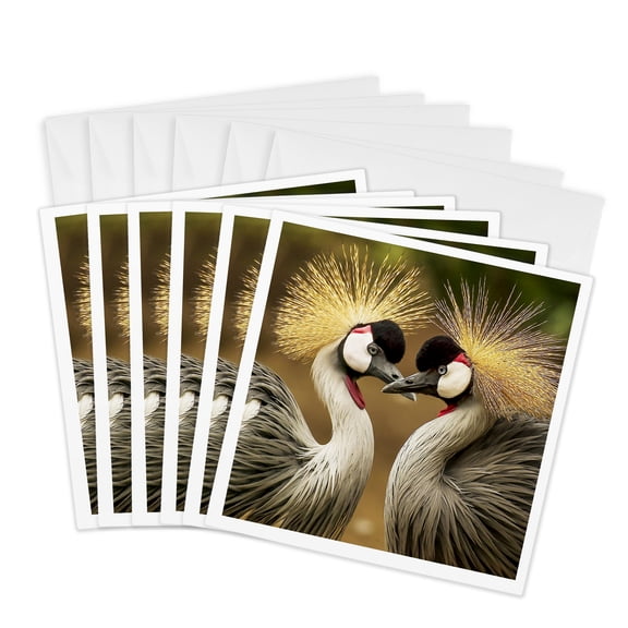 3drose, Grey Crowned Cranes,, 6 Greeting Cards with Envelopes
