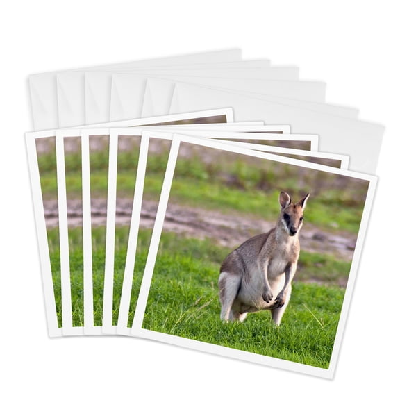 3drose, Grey Kangaroos, Queensland, Australia - Au01 Mgl0068 - Miva Stock, 6 Greeting Cards with Envelopes