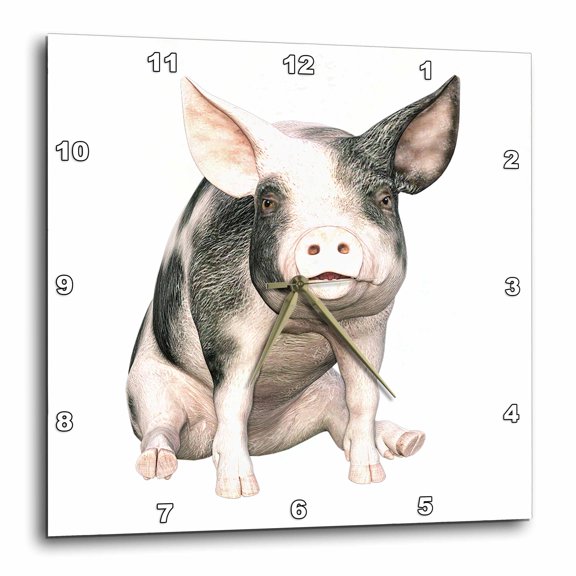 3drose, Grey and White Pig Sitting down and Looking Forward, 13x13 Wall Clock