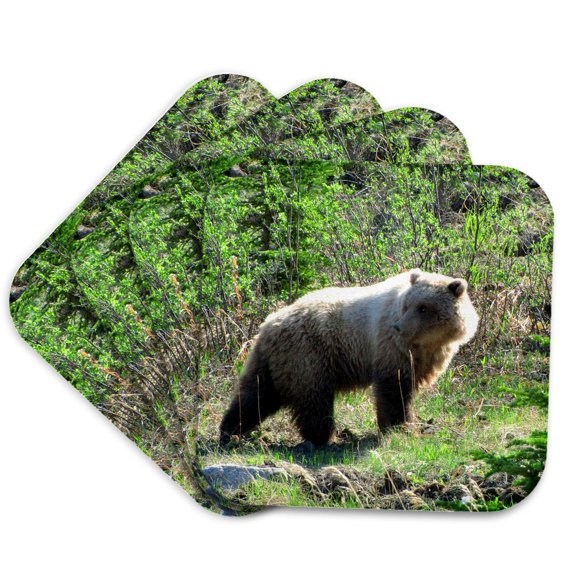 3drose, Grizzly Bear Out for a Walk in Sunny Yukon Territory, Set of 4 Coasters - Cork