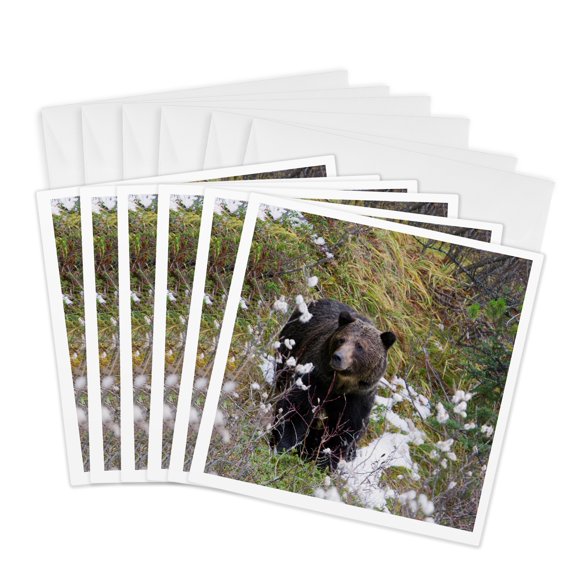 3drose, Grizzly Bear, Snow, 6 Greeting Cards with Envelopes