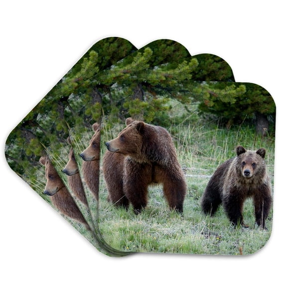 3drose, Grizzly Bear Sow with Cub, Set of 4 Coasters - Soft