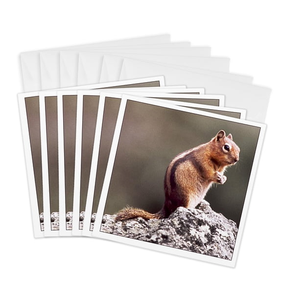 3drose, Ground Squirrel, 6 Greeting Cards with Envelopes