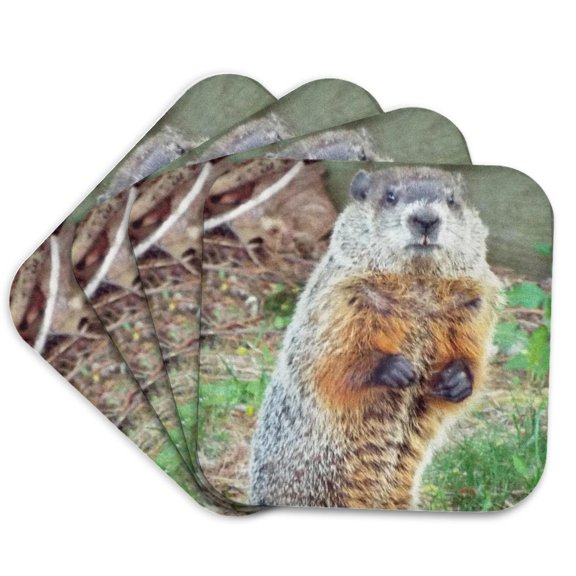 3drose, Groundhog Upright, Set of 4 Coasters - Soft
