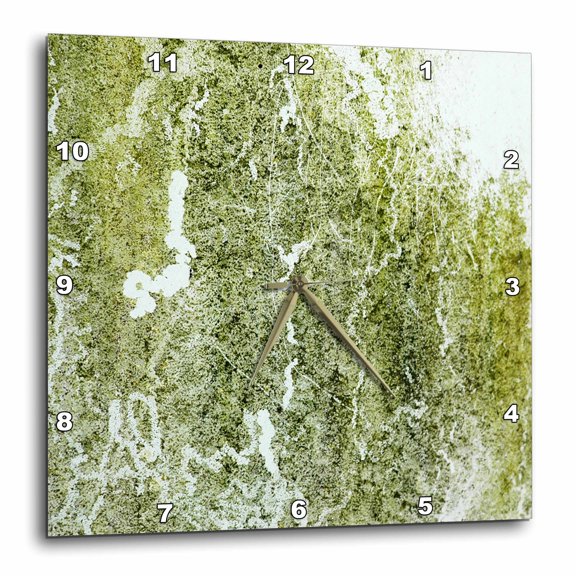 3drose, Grunge Green, 13x13 Wall Clock