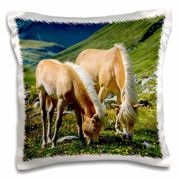 3drose, Haflinger Horses in Mountain Pasture in Otztal Alps, Austria, Tyrol., 16x16 inch Pillow Case
