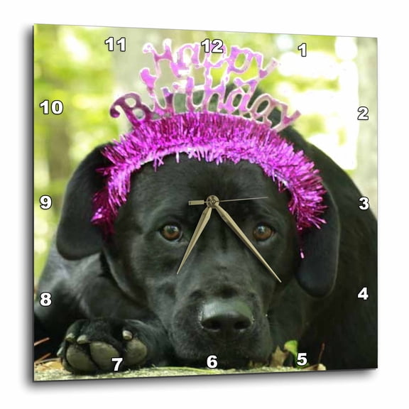 3drose, Happy Birthday Wishes Dog Black Lab Labrador Retriever, 13x13 Wall Clock