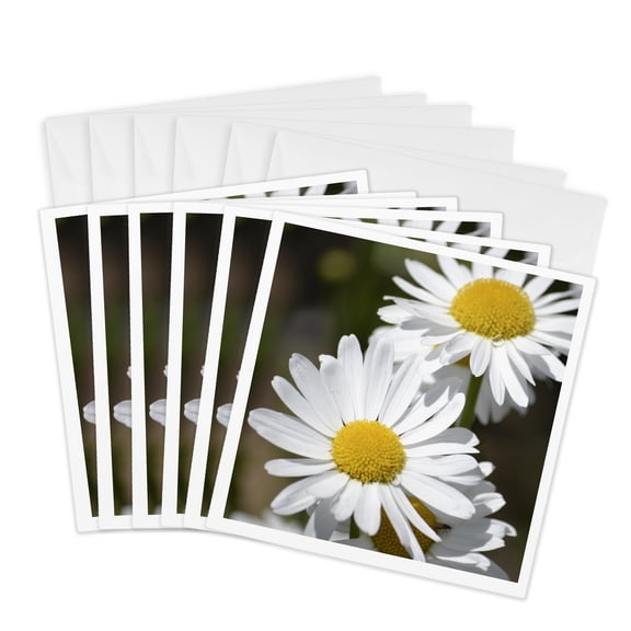 3drose, Happy Daisies - Spring Flowers - Floral Print, 6 Greeting Cards with Envelopes