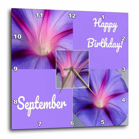 3drose, Happy September Birthday Morning Glory Flowers, 10x10 Wall Clock